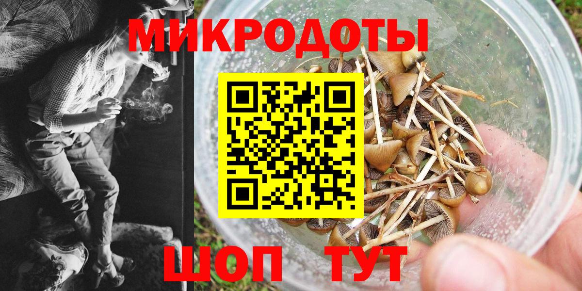 Галлюциногенные грибы Psilocybe  Галлюциногенные грибы Psilocybine cubensis  купить  сайты  Вход с VPN  Сертолово 