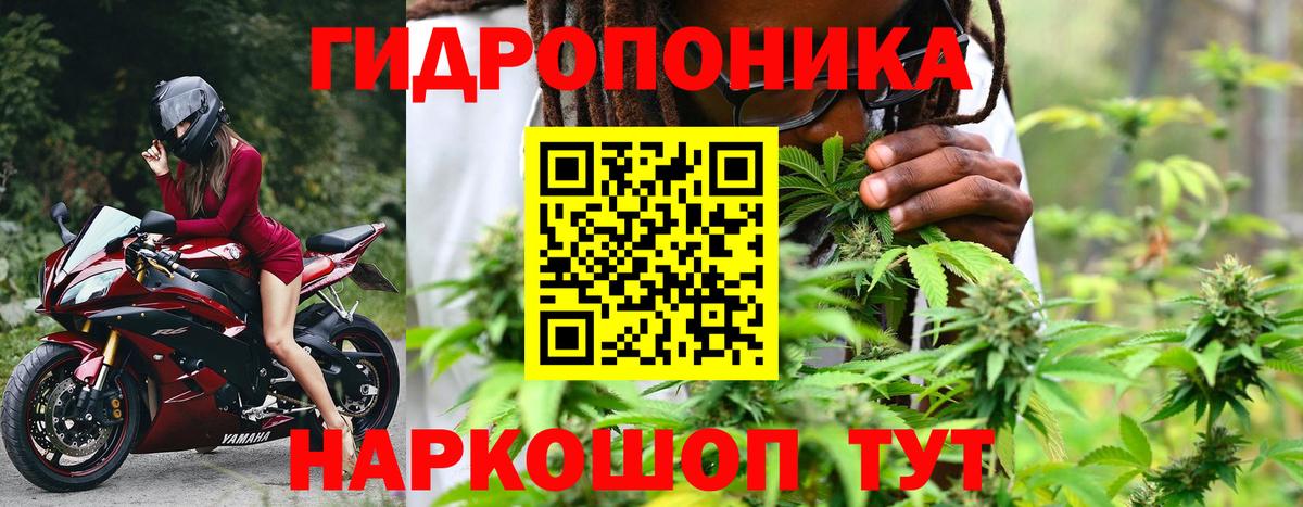 Марихуана гибрид Сертолово